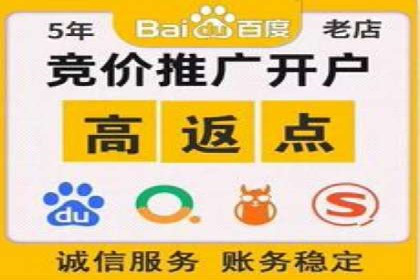 百度推广精准定位，案例深度解析